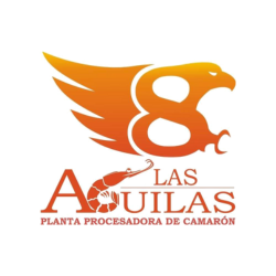 client 9